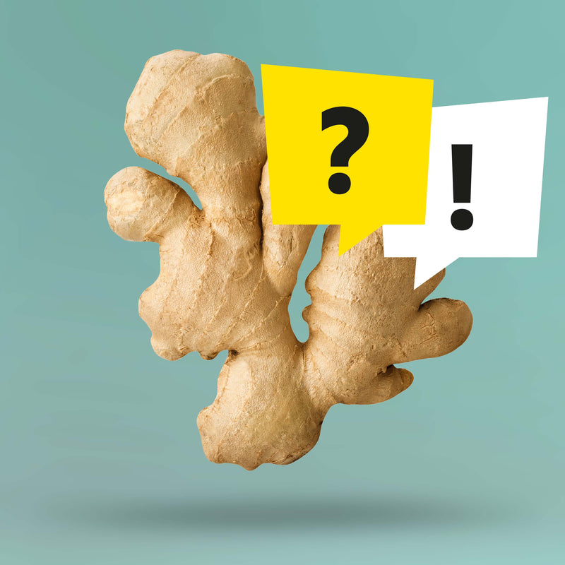 A ginger bulb with two speech bubbles. In one is a question mark, in the other an exclamation mark. Symbolically, the image stands for the FAQs of the brand Kloster Kitchen.