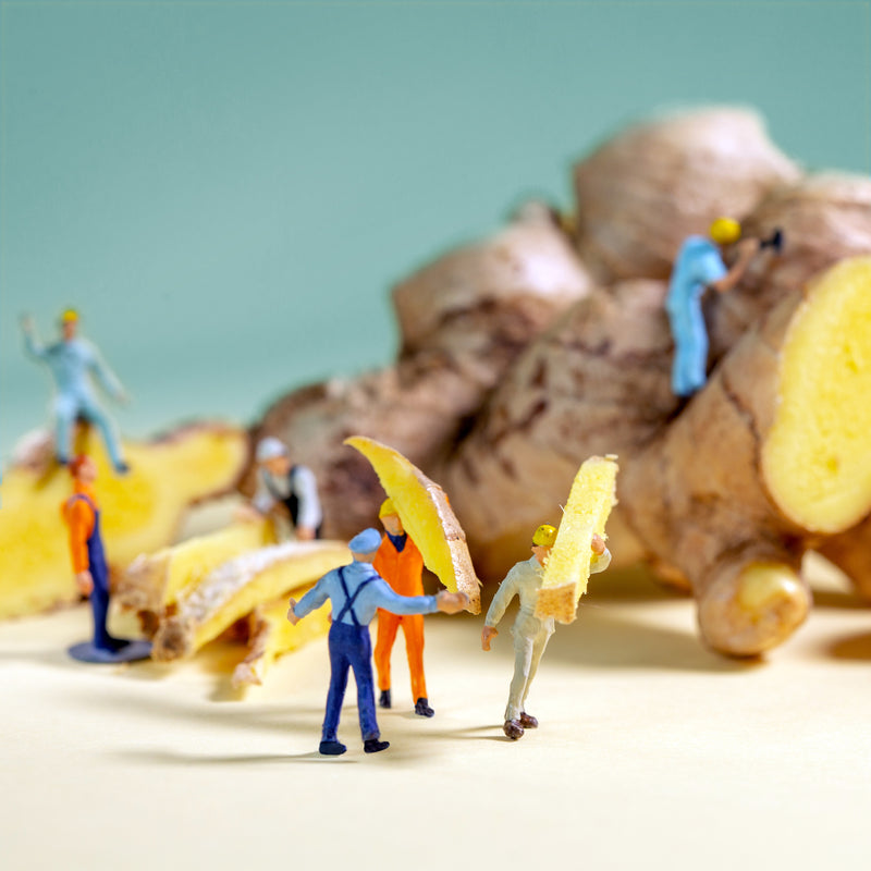 Small plastic people carry pieces of ginger around and work on a large tuber in the background. Symbolically, the picture stands for the job advertisements of the brand Kloster Kitchen.