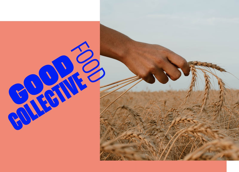 Durabilité Good Food Collectiv : Logo Good Food Collectiv, à côté d'une main qui cueille du blé.