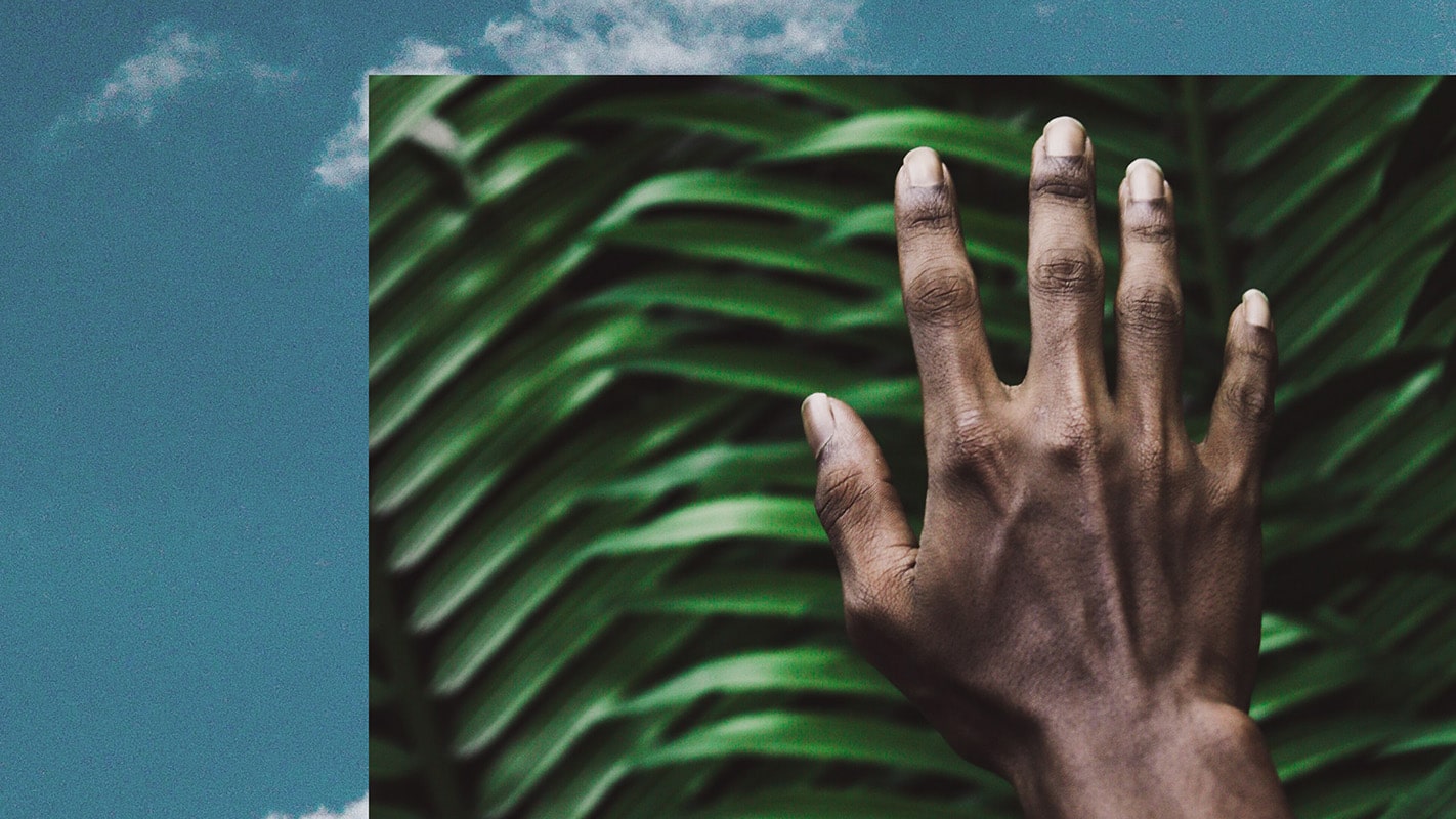 Banner della pagina sulla sostenibilità: mano appoggiata su una foglia.