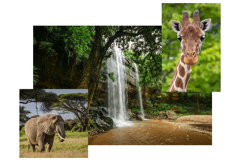 Travel diary Mombasa: collage on which you can see an elephant, a waterfall and a giraffe