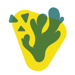 Mit Ingwerstückchen 