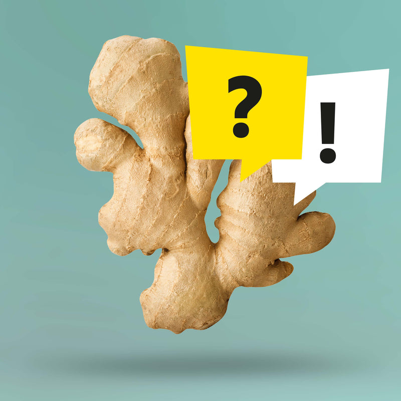 Eine Ingwerknolle mit zwei Sprechblasen. In einer ist ein Fragezeichen, in der anderen ein Ausrufezeichen. Symbolisch steht das Bild für die FAQs der Marke Kloster Kitchen.