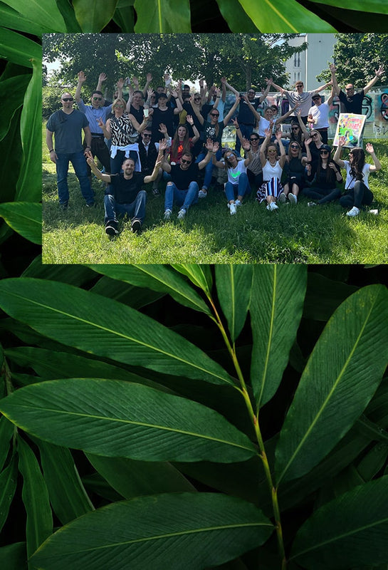 Il team di Kloster Kitchen a un evento di squadra: i dipendenti siedono su un prato a fare il tifo