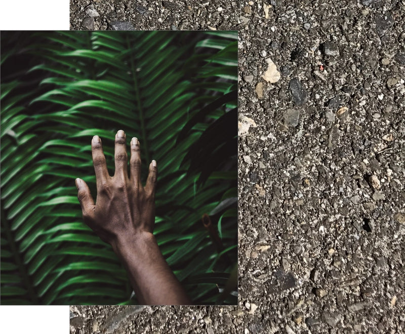 Sustainability life aid: hand in front of a leaf.