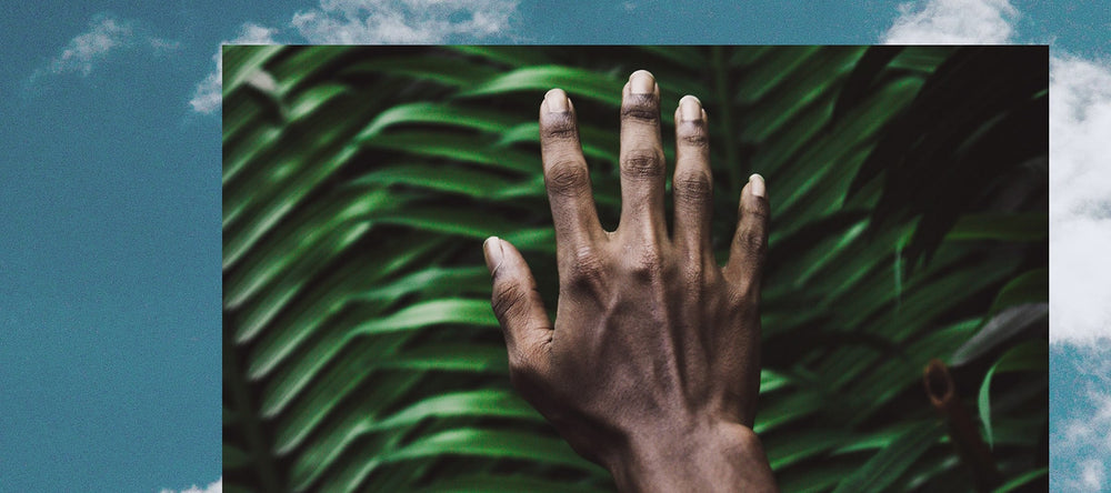 Banner della pagina sulla sostenibilità: mano appoggiata su una foglia.