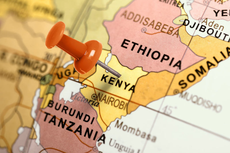 Diario di viaggio Mombasa: globo su cui è presente uno spillo rosso in Kenya. A destra si vede il punto + la scritta Mombasa.